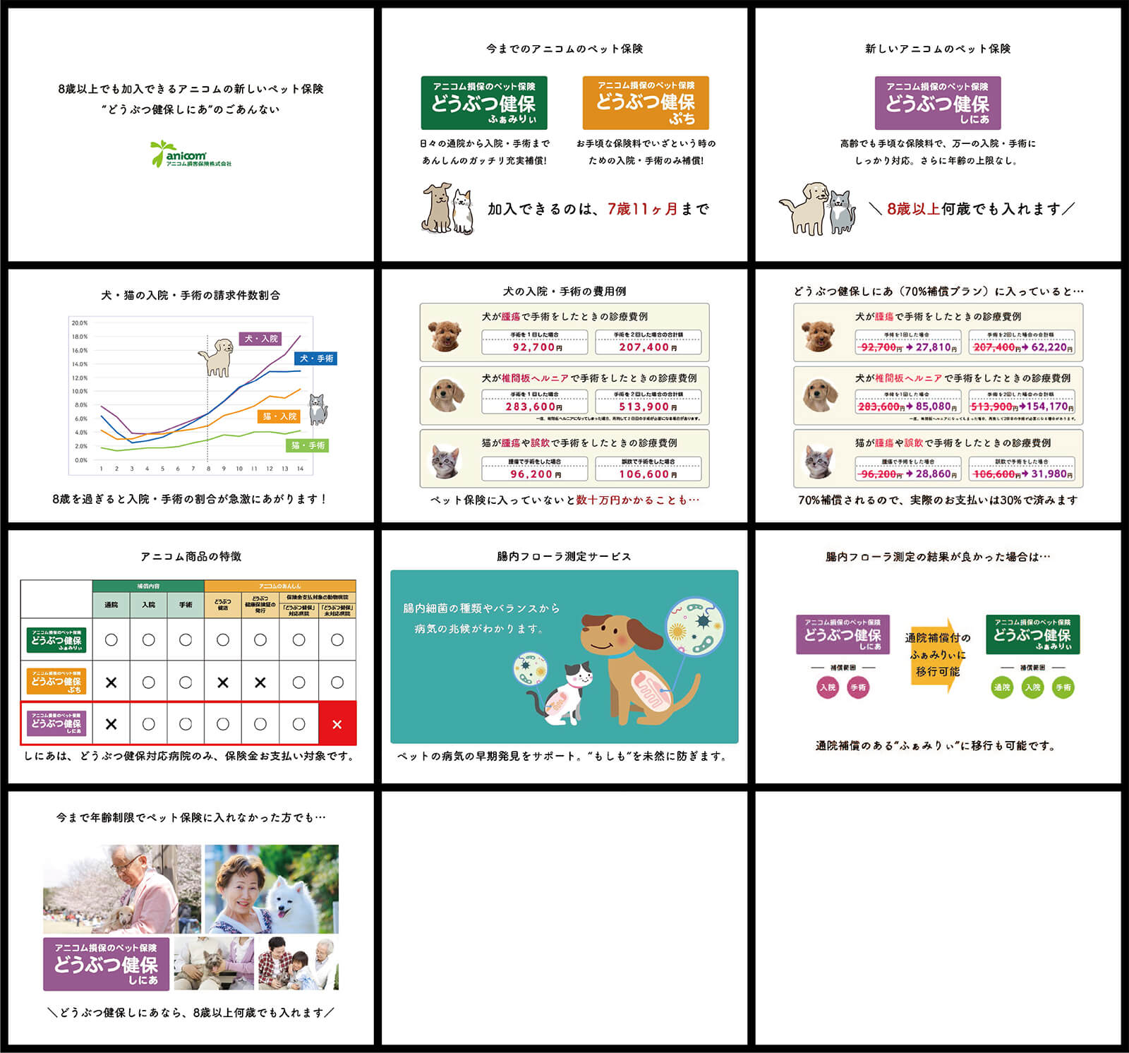 ペット保険会社の商品説明動画制作